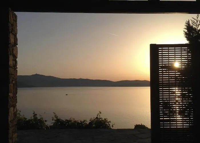 Ines's Dream סטלידה