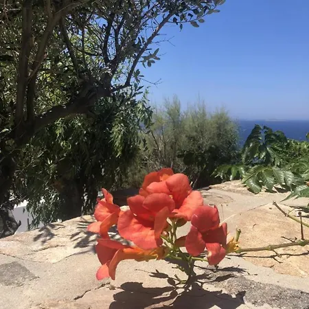 Διαμέρισμα Ines's Dream