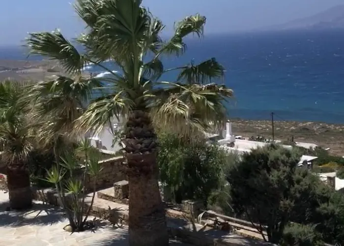 Ines's Dream Στελίδα